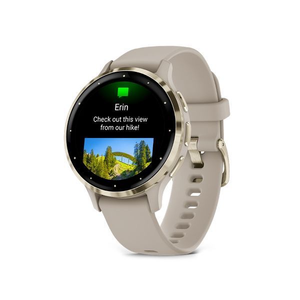 Смарт-годинник Garmin Venu 3S Soft gold stainless steel bezel with French grey case and silicone band (010-02785-02) 010-02785-02 фото