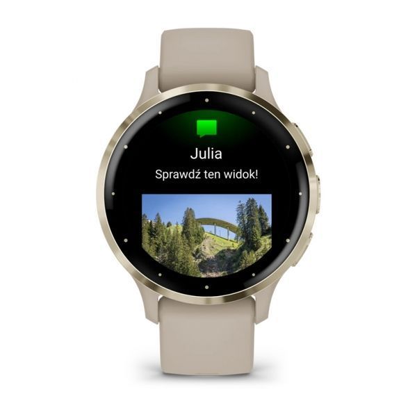 Смарт-годинник Garmin Venu 3S Soft gold stainless steel bezel with French grey case and silicone band (010-02785-02) 010-02785-02 фото