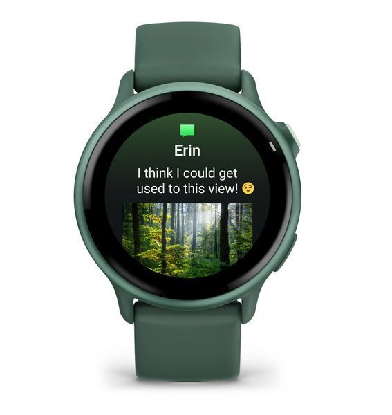 Смарт-годинник Garmin Vivoactive 6&nbsp;Metallic Jasper Green with Jasper Green Band (010-02985-02)  010-02985-02 фото