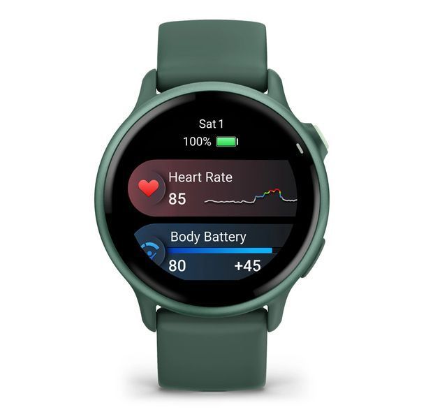Смарт-годинник Garmin Vivoactive 6&nbsp;Metallic Jasper Green with Jasper Green Band (010-02985-02)  010-02985-02 фото