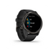 Смарт-годинник Garmin Venu 2 Slate Stainless Steel Bezel with Black Case and Silicone Band (010-02430-11) 010-02430-11 фото 4